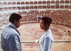 闘牛に賭ける男